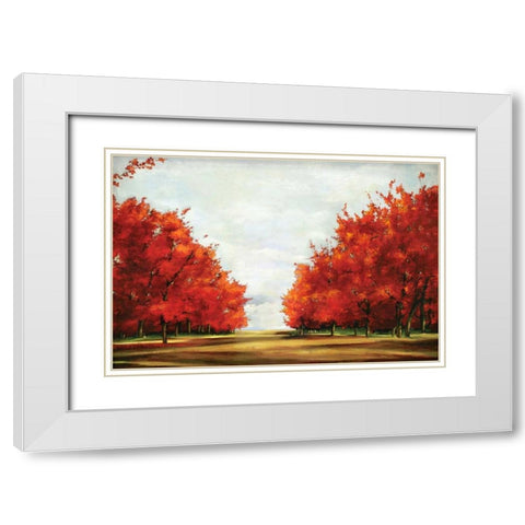 Red Glory White Modern Wood Framed Art Print with Double Matting by Pearce, Allison