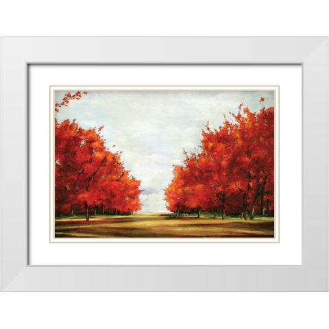 Red Glory White Modern Wood Framed Art Print with Double Matting by Pearce, Allison