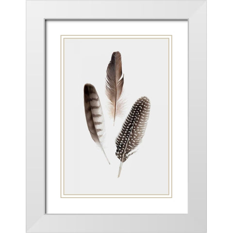 Feathers I White Modern Wood Framed Art Print with Double Matting by PI Studio