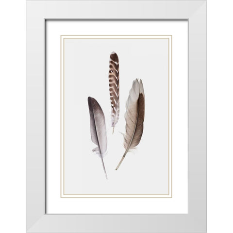 Feathers III White Modern Wood Framed Art Print with Double Matting by PI Studio