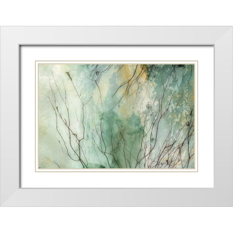 Branches II White Modern Wood Framed Art Print with Double Matting by PI Galerie