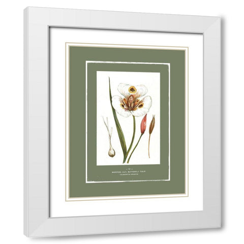 Green Botanics I  White Modern Wood Framed Art Print with Double Matting by PI Studio