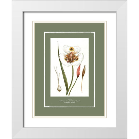 Green Botanics I  White Modern Wood Framed Art Print with Double Matting by PI Studio