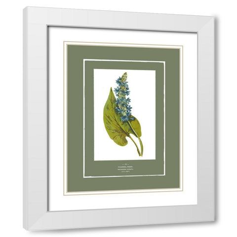 Green Botanics II White Modern Wood Framed Art Print with Double Matting by PI Studio