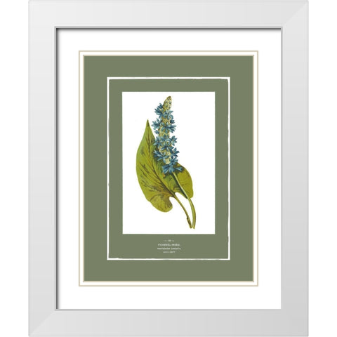 Green Botanics II White Modern Wood Framed Art Print with Double Matting by PI Studio