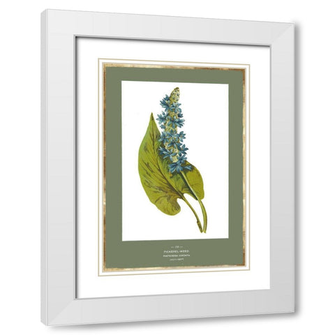 Green Botanics V White Modern Wood Framed Art Print with Double Matting by PI Studio