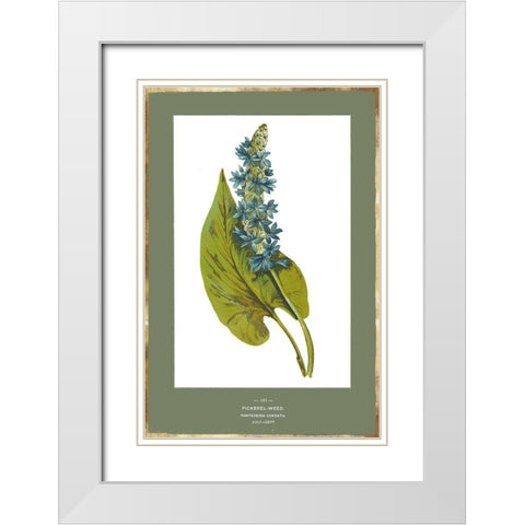 Green Botanics V White Modern Wood Framed Art Print with Double Matting by PI Studio
