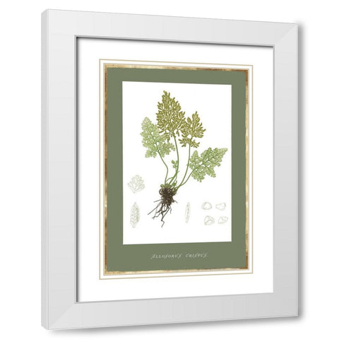 Botanical Garden IV White Modern Wood Framed Art Print with Double Matting by PI Studio