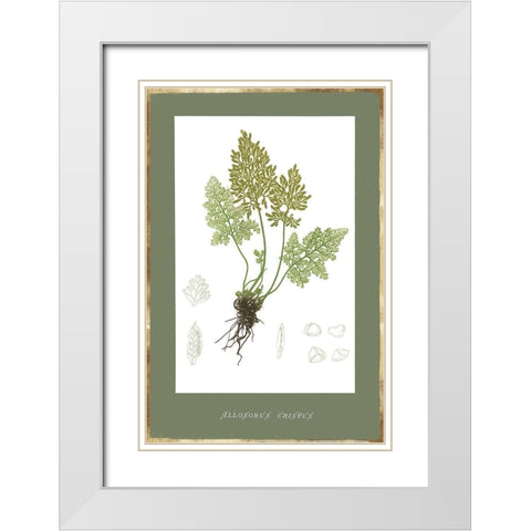 Botanical Garden IV White Modern Wood Framed Art Print with Double Matting by PI Studio