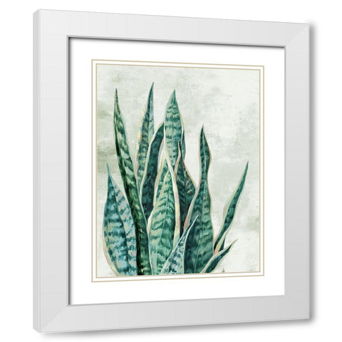 Reaching Snake Plant White Modern Wood Framed Art Print with Double Matting by PI Studio