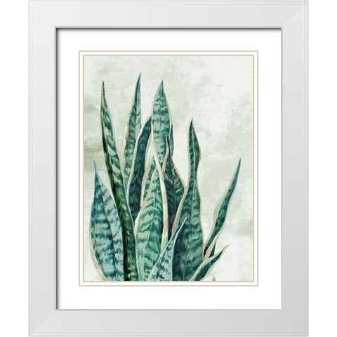 Reaching Snake Plant White Modern Wood Framed Art Print with Double Matting by PI Studio