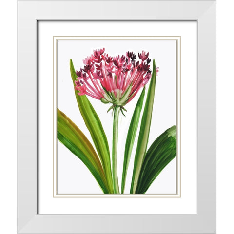 Blooming Pink White Modern Wood Framed Art Print with Double Matting by Pi Studio