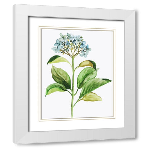 Little Hydrangea White Modern Wood Framed Art Print with Double Matting by Pi Studio