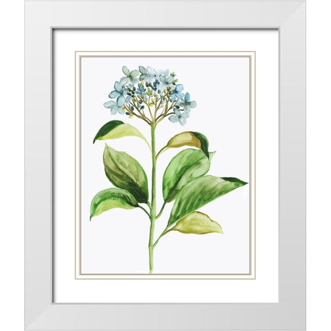 Little Hydrangea White Modern Wood Framed Art Print with Double Matting by Pi Studio