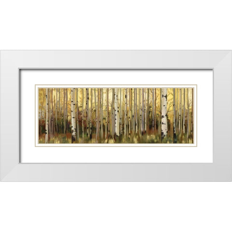Forest Light White Modern Wood Framed Art Print with Double Matting by Pearce, Allison