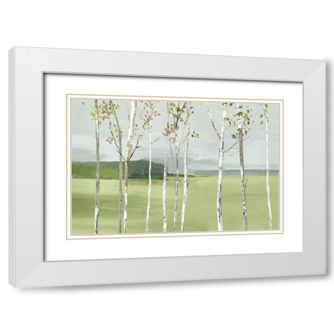 Birch Valley White Modern Wood Framed Art Print with Double Matting by Pearce, Allison