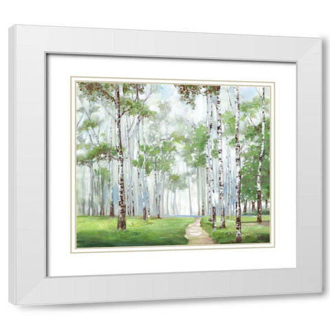 Quiet Path White Modern Wood Framed Art Print with Double Matting by Pearce, Allison