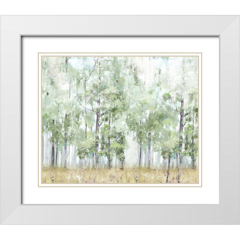 Into the Forest Light White Modern Wood Framed Art Print with Double Matting by Pearce, Allison