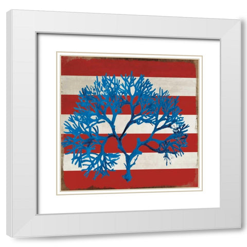 Marine Coral I White Modern Wood Framed Art Print with Double Matting by PI Studio