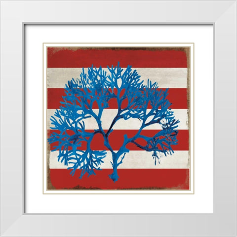 Marine Coral I White Modern Wood Framed Art Print with Double Matting by PI Studio