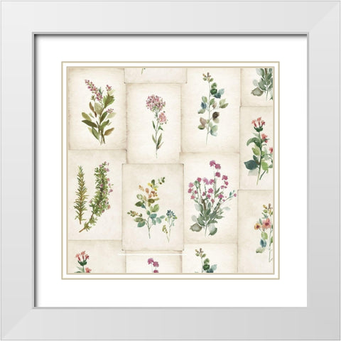 My Motherâ€™s Garden White Modern Wood Framed Art Print with Double Matting by Pi Studio