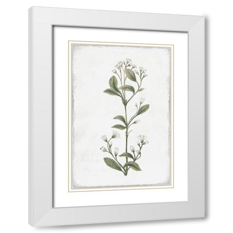 Little Flower II White Modern Wood Framed Art Print with Double Matting by Pi Studio