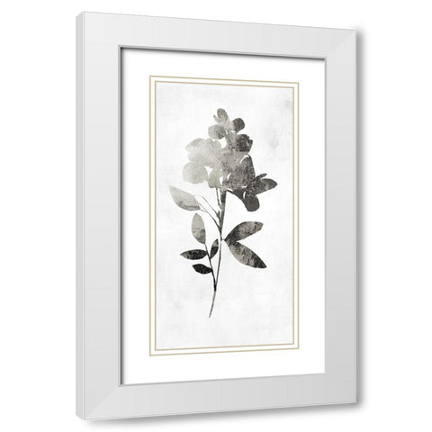 PI Studio White Modern Wood Framed Art Print with Double Matting by A Shadow Of A Flower I