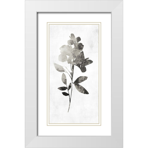 PI Studio White Modern Wood Framed Art Print with Double Matting by A Shadow Of A Flower I