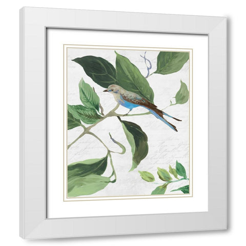 Spring Bird I White Modern Wood Framed Art Print with Double Matting by PI Studio