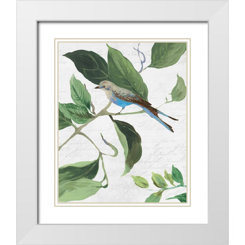Spring Bird I White Modern Wood Framed Art Print with Double Matting by PI Studio