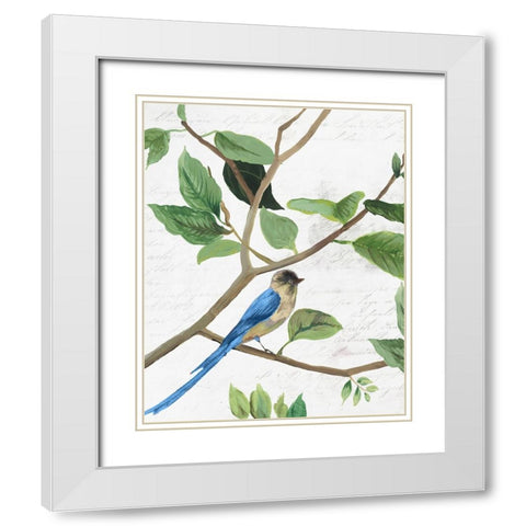 Spring Bird II White Modern Wood Framed Art Print with Double Matting by PI Studio