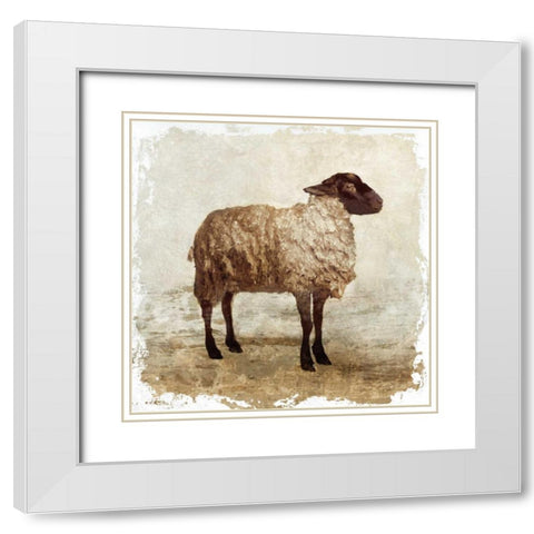 Sheep white border White Modern Wood Framed Art Print with Double Matting by PI Studio