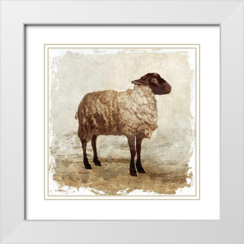 Sheep white border White Modern Wood Framed Art Print with Double Matting by PI Studio