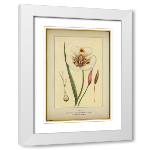 Mariposalily White Modern Wood Framed Art Print with Double Matting by PI Collection