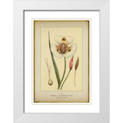 Mariposalily White Modern Wood Framed Art Print with Double Matting by PI Collection