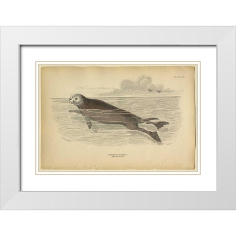 Sea Otter White Modern Wood Framed Art Print with Double Matting by PI Collection