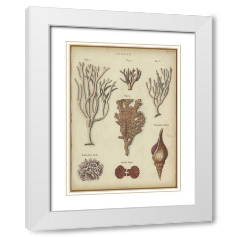 Sponge White Modern Wood Framed Art Print with Double Matting by PI Collection