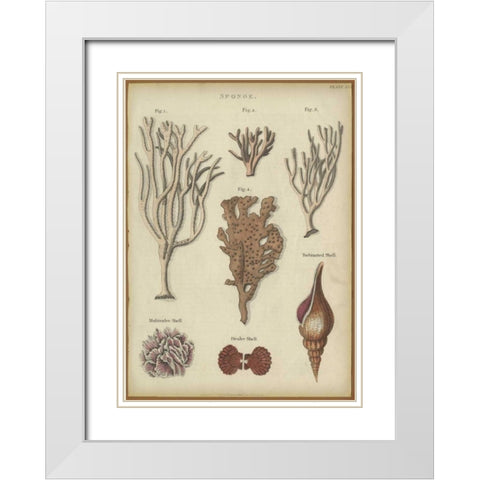 Sponge White Modern Wood Framed Art Print with Double Matting by PI Collection
