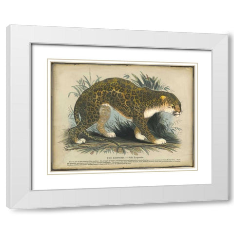 Leopard White Modern Wood Framed Art Print with Double Matting by PI Collection
