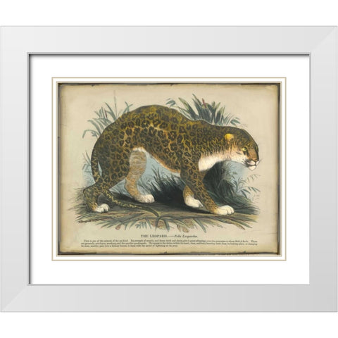 Leopard White Modern Wood Framed Art Print with Double Matting by PI Collection