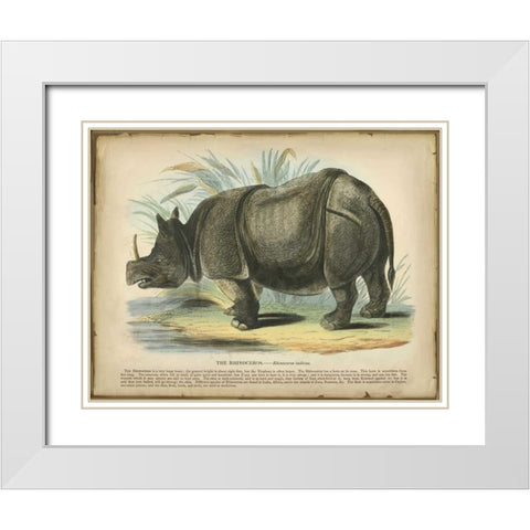 Rhino White Modern Wood Framed Art Print with Double Matting by PI Collection