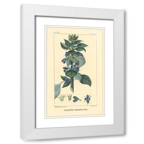 Ballote Oderante White Modern Wood Framed Art Print with Double Matting by PI Collection