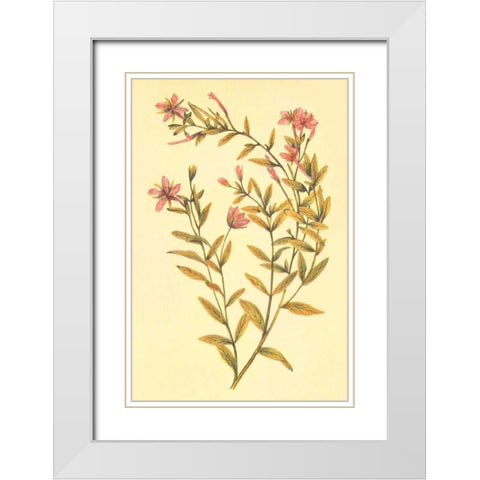 Broad Leaved Fireweed White Modern Wood Framed Art Print with Double Matting by PI Collection