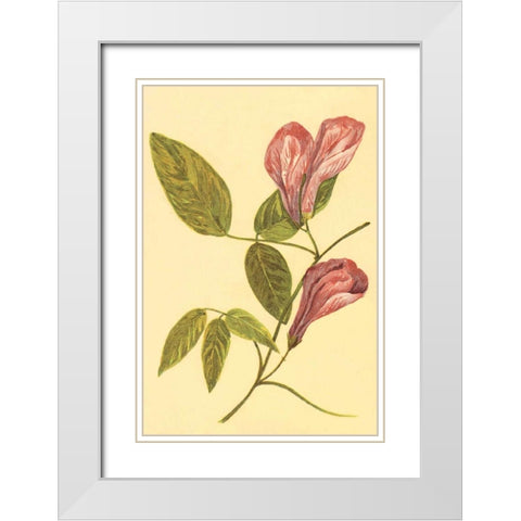 Butterfly Pea White Modern Wood Framed Art Print with Double Matting by PI Collection