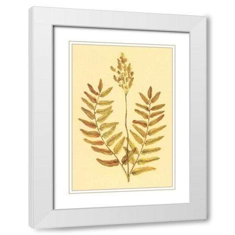 Flowering Fern White Modern Wood Framed Art Print with Double Matting by PI Collection
