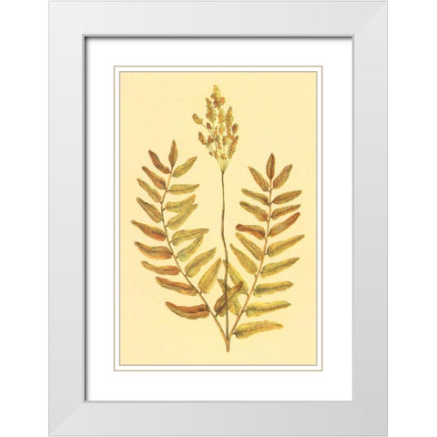 Flowering Fern White Modern Wood Framed Art Print with Double Matting by PI Collection