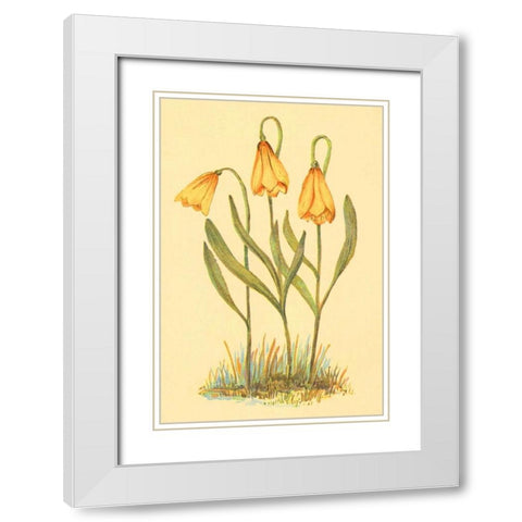 Fritillary White Modern Wood Framed Art Print with Double Matting by PI Collection