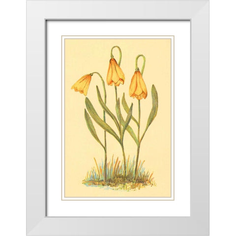 Fritillary White Modern Wood Framed Art Print with Double Matting by PI Collection