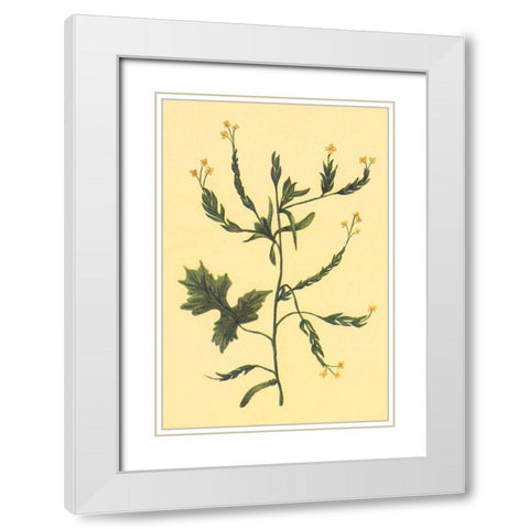 Hedge Mustard White Modern Wood Framed Art Print with Double Matting by PI Collection