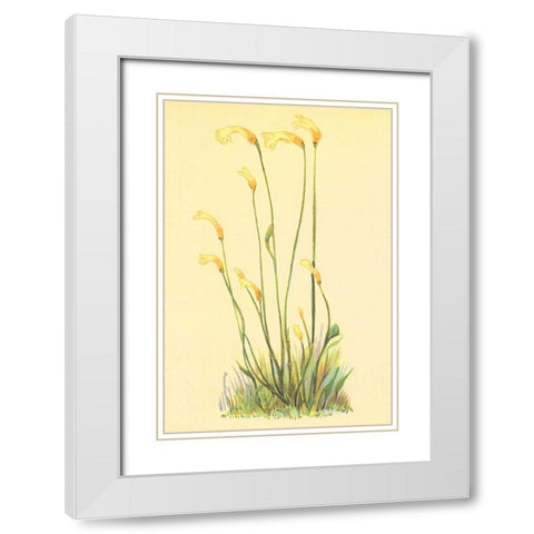 One Flowered Root White Modern Wood Framed Art Print with Double Matting by PI Collection
